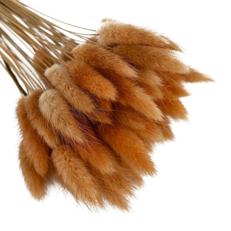 50pcs Dried Rabbit Tail Grass Flowers Artificial Plant Wedding Party