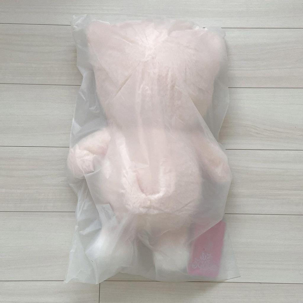 [USED] Foxiny Ien Skiz Teddy