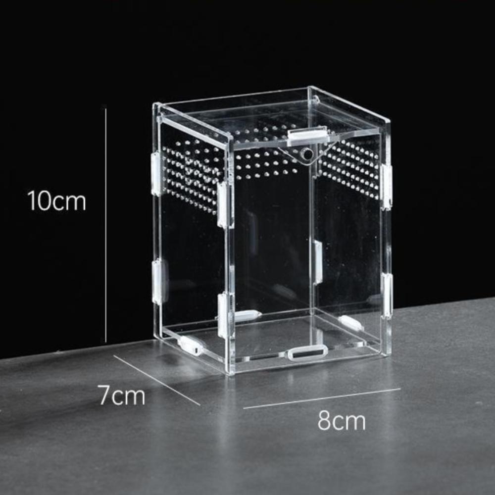 Anti-Escape Reptile Habitat Clear Spider Feeding Case Durable Lizard Breeding Box  for Chameleon