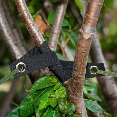 10 unidades Correas para Árboles para Estacado Soportes Resistentes para Árboles y Plantas para Asegurar y Proteger Árboles Jóvenes y Plantas Recién Plantados