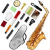 SLADE Eb Alto Saxophone Brass Frosted Gold E Flat Alto Sax Woodwind Instrument Boutique Saxfon With Case Reeds Stand Parts