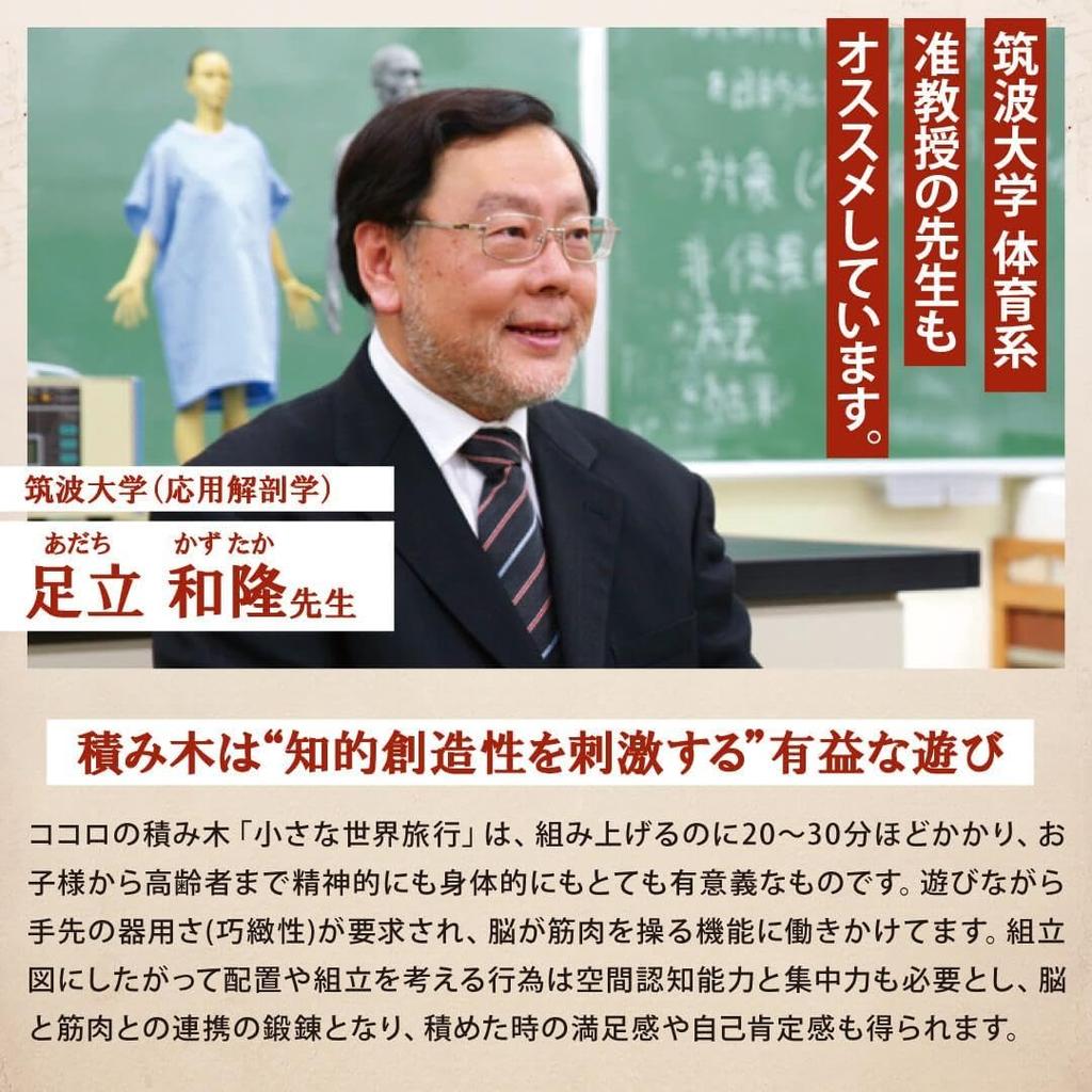 [MINDBLOCKS] Heart Building Blocks Windmill Wooden Model Building Puzzle Craft Hobby Toy DIY Mechanical Assembly Kit