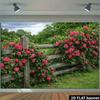 2D Bauernhaus Rosenzaun Kulisse Kletternde Rosa Rosen Fotografie Banner