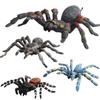 Spider Model Set With Plastic Material For Home Decor And Gift For Nature Lovers