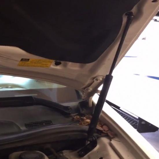 Front Hood Lift Support Gas Shock Struts For 1999-2003 Lexus RX300 Base Sports