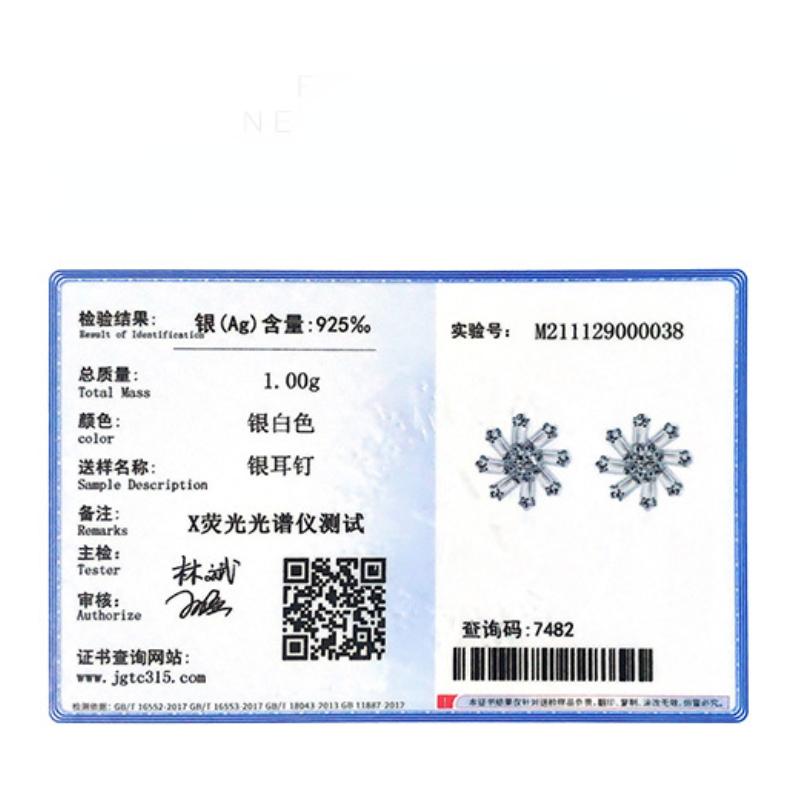 Tancise 925 Sterling Silver Zircon Earrings Drop Earrings For Women Wedding Party Gifts