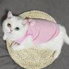 Pet Clothes Cat Vest for Persian Cat Siamese Kitten Spring Autumn Thin Teddy Bear Schnauri Dog Clothes Summer Small Dog Tank Top
