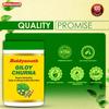 Baidyanath Guduchi Giloy Churna 100 Gm X Pack of 2 Natural Herbal Immunity Booster Powder