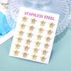 12 Pair Marine Animal Earrings for Women Sea Turtle Shell Starfish Dolphin Penguin Fish Stainless Steel Ear Studs Summer Zircon
