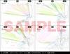 Yutaka Nakamura Animation Original Drawings Collection Vol. 3