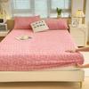 2025New Thickened Warm Bed Sheet Single Piece Autumn Winter Coral Fleece Bed Sheet Taffeta Mattress Protector