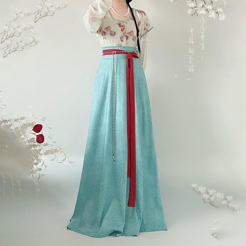 Chinese Tang Dynasty Style Hanfu for Women Printed Round Neck Top & Long Skirt Set Traditional Hanfu Costume