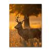 Waterfall Reed Wall Art Canvas Painting Nordic Posters And Prints Wall Pictures For Living Room Autumn Leaves Forest Deer Lake