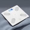 Smart Bluetooth Body Fat Scale TS-C67 (CN version)