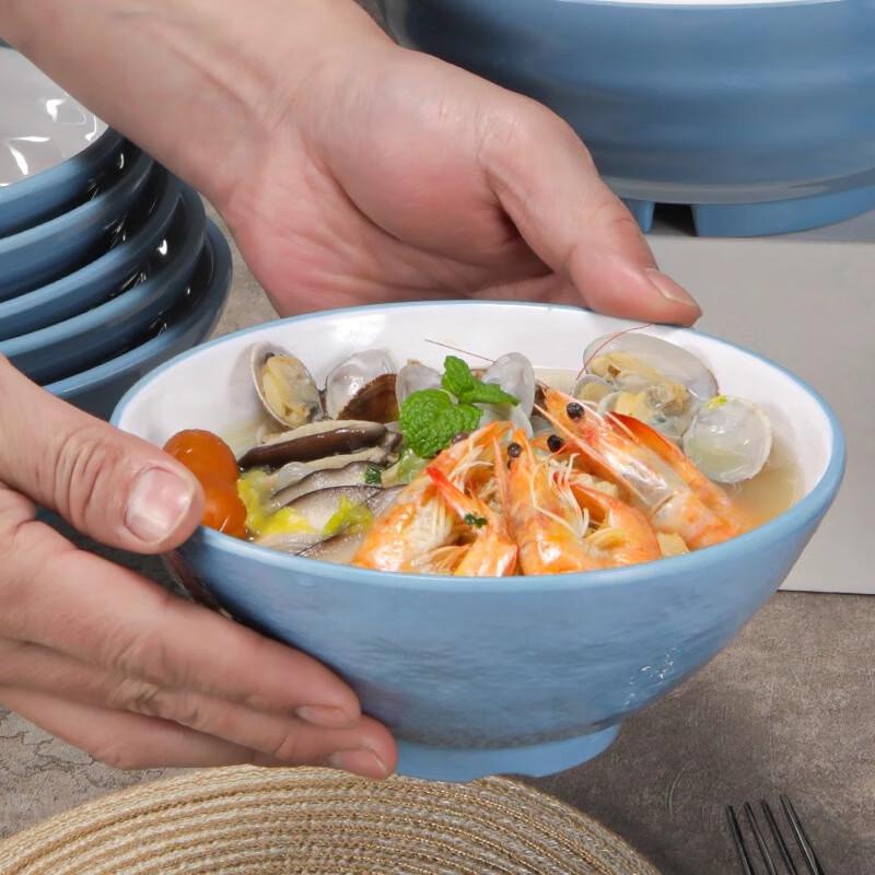 Melamine Soup Noodle Bowl