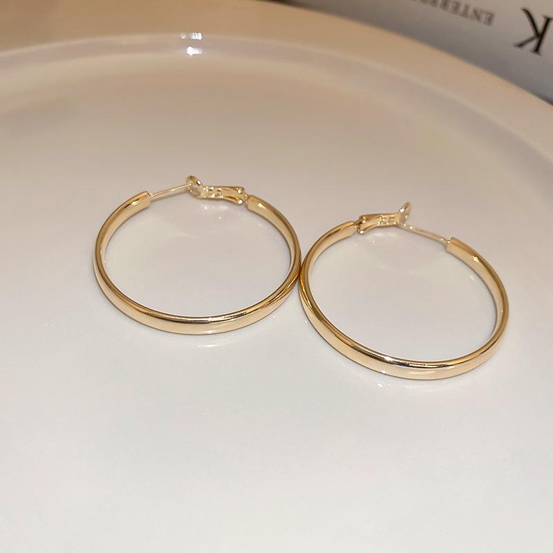 High-End Light Luxury Cold-Style Metal Hoop Earrings