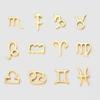 Zodiac Series Stainless Steel Necklace Pendants & Charms Jewelry Accessories