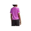 adidas Koszulka Originals Adicolor 3-Stripes Pinstripe z nadrukiem logo w blokach kolorystycznych Wygodna Prosta Koszulka w paski z okrągłym dekoltem i krótkim rękawem IY7225