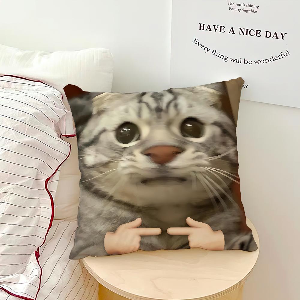 Cute Funny Cat Meme Abstract Kitten Cushion Cover Soft Pillow Case for Sofa Living Room Home Office Decor Protective Covers