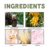 EELHOE Cedar Bergamot Perfume Fresh Woody Notes Long Lasting Fragrance Natural Non-Stinging Niche Perfume
