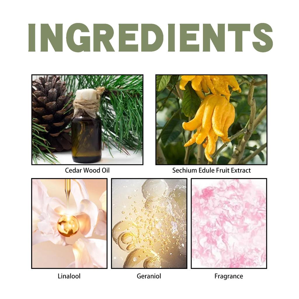 EELHOE Cedar Bergamot Perfume Fresh Woody Notes Long Lasting Fragrance Natural Non-Stinging Niche Perfume