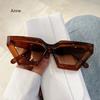 Vintage Cat Eye Sunglasses New Fashion Oversized Thick Frame Gradient Men Women Shades Trendy  Design UV400 Eyewear