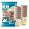 Disposable Paper Cups