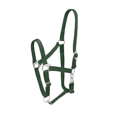 Equestrian Sport – Bridles & Reins