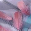50Pcs Macaron Colored Feather Decorative Goose Feather Large Medium Floating Dream Net Gift Box Filled With Bouquet Diy Handmade Materials