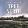 True North by Gary Eller Hardback Book 9781643972398