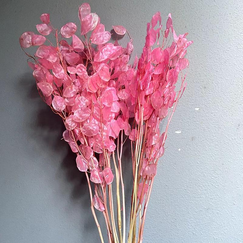 Silver Fan Dried Flower, White Flower Diy Home Decoration Bouquet, Natural Real Flower, Silver Fan Dried Flower, Immortal Flower