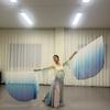 Multicolor Belly Dance Accessories Props Scalable Rods Dance Props Semi-circular Flags  Dance Party