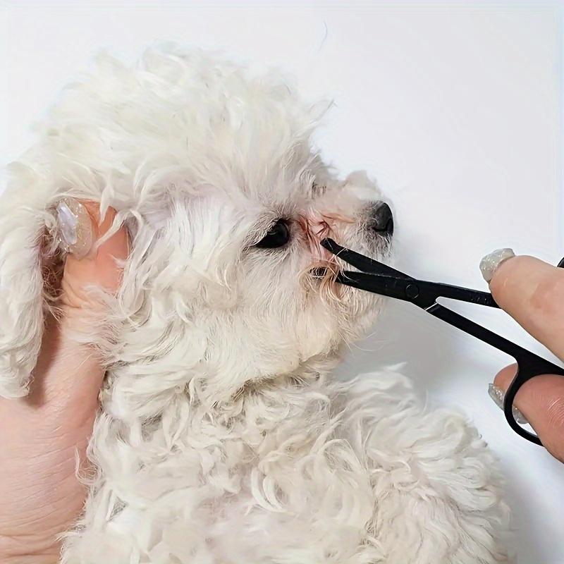 Pet Eye Grooming Kit: Stainless Steel Comb & Detail Brush for Dogs, Cats - Tear Stain Removal & Hair Trimming