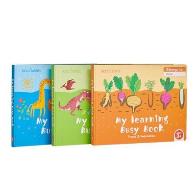 Atti Rabbit Self Directed Language Learning My Learning Busy Book