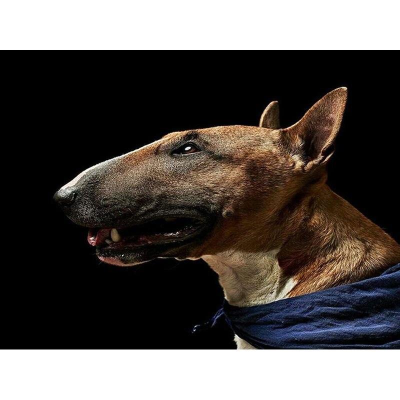 

5D Алмазная вышивка «Собака в воде» картина из горного хрусталя полная круглая алмазная живопись животное Алмазная мозаика Ханди Full Round 20x30CM