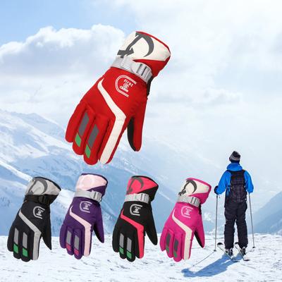 Adult Gloves Warm Ski Gloves Winter Windproof And Waterproof Gloves