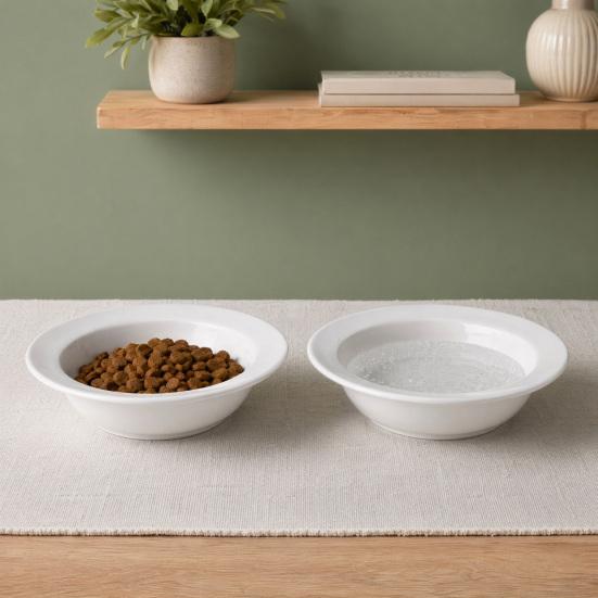 Ceramic Cat Bowl for Dry Wet Food, Microwave Dishwasher Safe Pet Feeder Plate, Whisker Friendly Kitten Food Water Dish