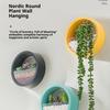 Wall Mounted Plant Hanging Container Easy No Tool Setups Ideal For Green Decoration Vertical Gardening In Compact Area