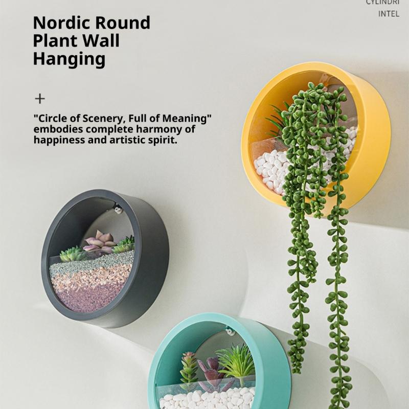Wall Mounted Plant Hanging Container Easy No Tool Setups Ideal For Green Decoration Vertical Gardening In Compact Area