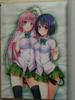 [USED] Collector's Edition Comic To Love-Ru Darkness Art Book Harem Gold