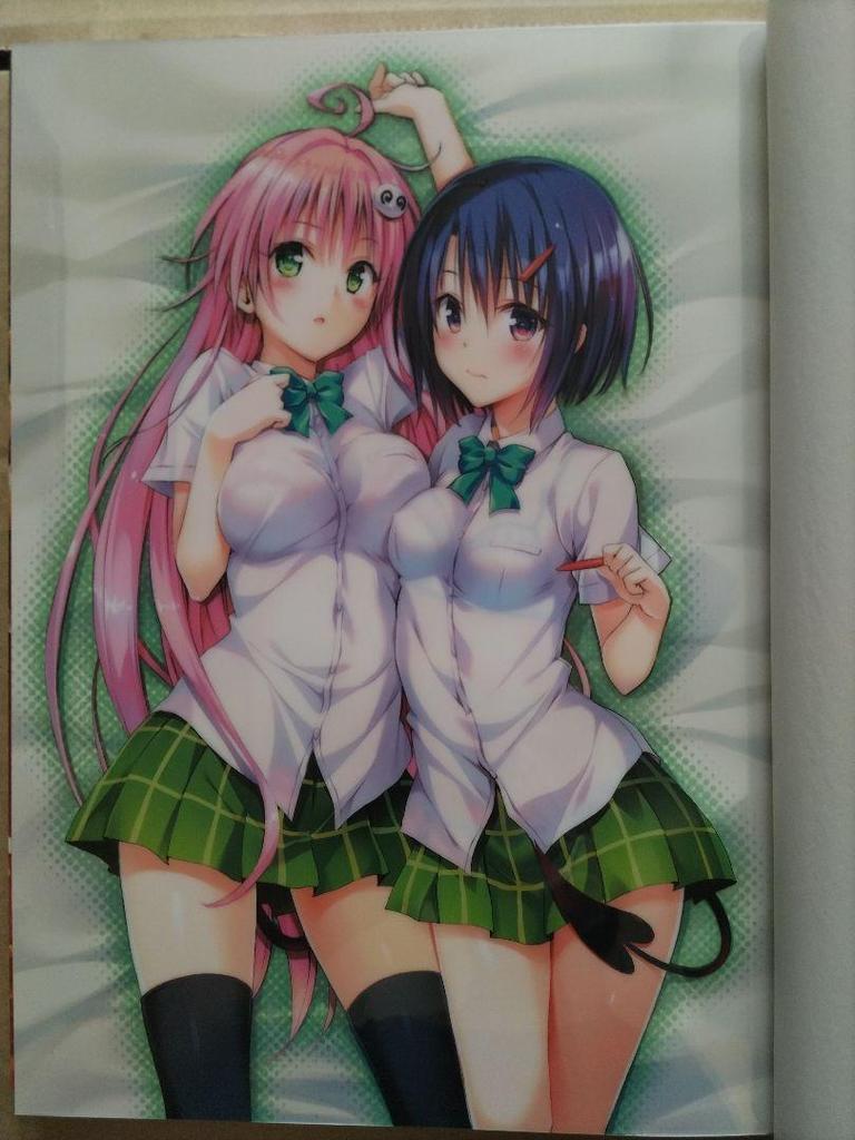 [USED] Collector's Edition Comic To Love-Ru Darkness Art Book Harem Gold