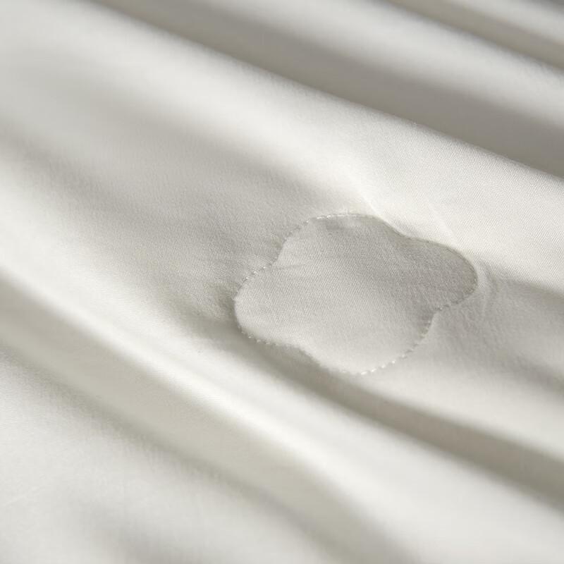 Hongxiu Shifang Premium Jacquard Mulberry Silk Quilt