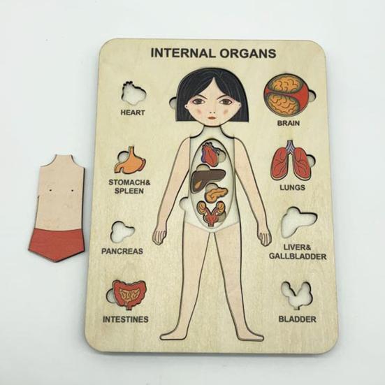 Cognition Easy To Assemble Fun Smooth Surface Boys Girls Anatomy Play Set Wooden Jigsaw Board Puzzle