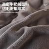 Super Warm Double-sided Quilt Milk Velvet Quilt 5kg Winter Comforter Thickened Cotton Quilt Core Autumn Winter Quilt Double Warm
