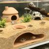 Multifunctional Aquarium Underground Tunnel Cave Curve Fish Tank Decoration One Hole Fish Tank Decor Under Gravel Tunnel