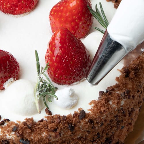 Endo Shoji Commercial Nozzle, Round, No. 13, 18-8 Stainless Steel, Made in Japan, WKT32013