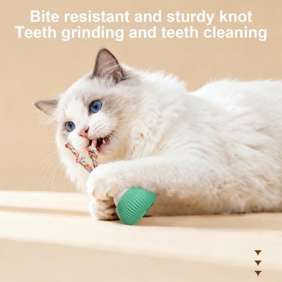 Interactive Cat Ball Dogs Rechargeable Smart Rotating Ball Pets Moving Ball with Recording Function for Indoor Outdoor Exercise Training Stimulation