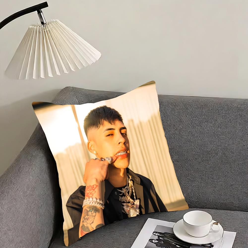 CCris MMj Singer Cushion Cover Pillowcase Ultra Soft Skin Friendly Fabric Cloud Like Comfort Concealed Zipper