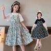 Blumenprint Kinder Rundhals Anzug für Mädchen Kleider Kostüm Jahre Alt Kleid Sets Ab 8 12 Jahre Kinder Mädchen Sommer Prinzessin