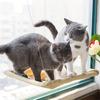 Cat bed window, cat window hammock window, safe habitat, cat frame, space saving window, cat seat